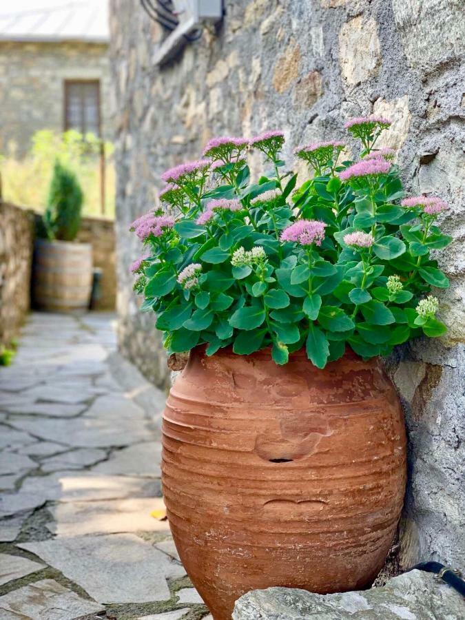 Πέτρινο Παραδοσιακό Σπίτι "Χιονάτη" Villa Nymfaio Bagian luar foto